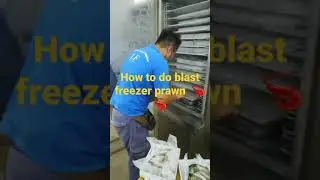 HOW TO DO PRAWN PACKAGING BY USING BLAST FREEZER ? !!!! IQF PROCESSING METHOD #howto #fish #process