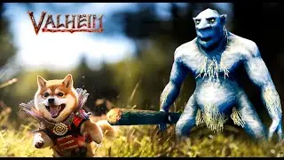 The most chaotic Valheim community server