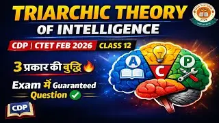 Triarchic Theory of Intelligence 🔥 | Sternberg | CDP CTET Feb 2026 #ctetfeb2026 #cdp #intelligence