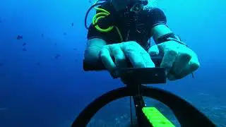 ALONE WITH 60 SHARKS, MOOFUSHI SHARK PASS MALDIVES