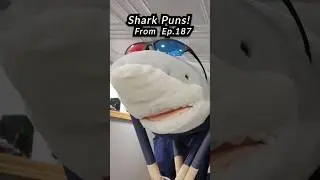 The set just got a lot more dangerous! ⚠️  #podcast #shark #dadjokes #dadhumor #podcastclip #beer