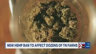 New hemp ban to affect dozens of Tennessee farms