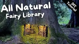 DIY Fairy Library Tutorial - Mini Woodland Library from Bark