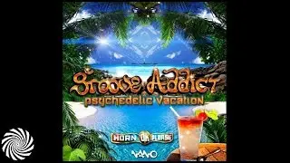 Groove Addict - Toad Licker