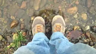 VIDEOS DESCORBATADOS - Disfruta de la Naturaleza