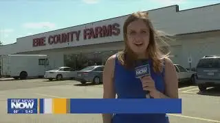 Erie County Farms Hit by Supply Shortages