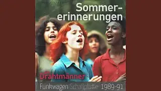 Sommererinnerungen (feat. die Drahtm&auml;nner)
