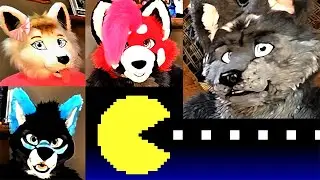 Wolfe's Trivia Game Show | Paws Play - S3E12