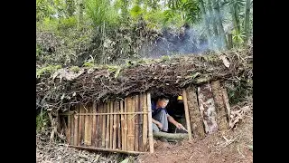 SURVIVAL CAMPING in the RAINY season; Build a secret shelter under a fallen tree trunk. Bushcraft