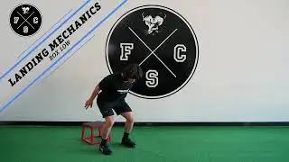 Landing Mechanics Box Low