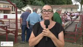 Adrénaline Gasconne 
