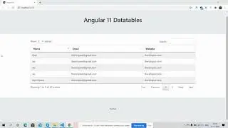 Angular 11 Datatable Working Demo