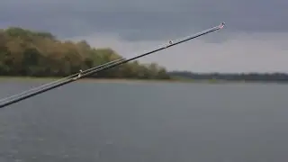 Sensors in Sports | Fishing