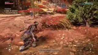 Horizon Forbidden West_Errand A Dash of Courage Walkthrough
