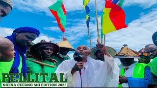 Dawol Pellital ngesa Ceerno Édition #2025 