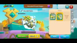 New ASCENDED ORACLE DRAGON