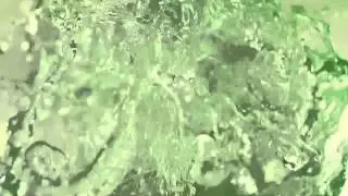 Lipton Ice Tea Green TV commercial 2013