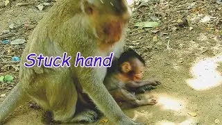 Because mom less attention ! Poor baby Lizza stuck hand cry loudly in chest mom Lizzy | BMC#2677