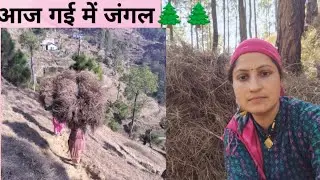  मम्मी ने सुनाया जंगल🌲 में गाना 🥰