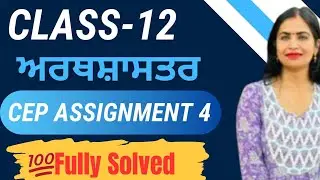 Class 12 Economics CEP Assignment 4 Solved | PSEB Quick Guide 📚💡#pseb #class12   #cep #economics