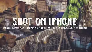 iPhone 15 Pro Max | 4K60fps | 120mm 5X zoom | Black Magic ProRes Log | LUT edited in VN video editor