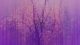 Hollie Kenniff & Chelsea McGough - Sharing Kindness [Official Audio]