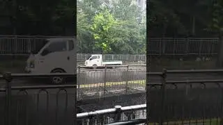 #rain #epicweather #eveningrain #asmrnature