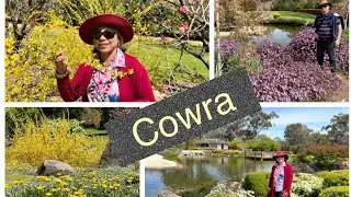 Cowra Japanese Garden &mdash; with Acoustic Love Songs