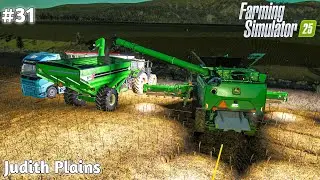 Sunflower Contract Completing | Judith Plains Montana | Ep#31 | FS25
