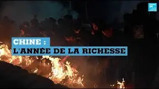 Chine : c&eacute;l&eacute;brations de l'ann&eacute;e du cochon, signe de chance et de prosp&eacute;rit&eacute;