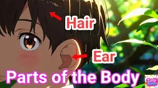 Parts of the body | Kids & Children Sing Along Song 