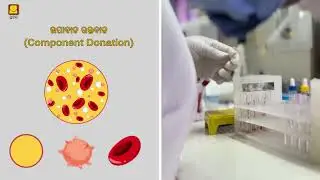 Blood Donation: Benefits and Safety (Odia) | ରକ୍ତଦାନ: ଲାଭ ଏବଂ ସୁରକ୍ଷା