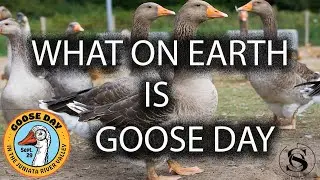 Central PA's Goose Day: A Tradition Unlike Any Other (2023)