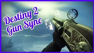 Valkyrie - Destiny 2 Gun Sync