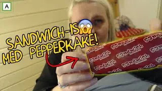 SANDWICH-IS MED PEPPERKAKESMAK!? & Q&A