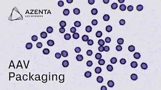 GENEWIZ AAV Packaging from Azenta Life Sciences