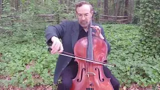 Celtic Tunes for Solo Cello: King of the Clans