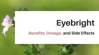 Eyebright Benefits, Dosage, and Side Effects