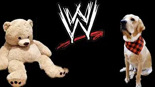 Dog vs Teddy Bear Wrestling Match | Dog Showing Aggression | Funny Dog Video 😆