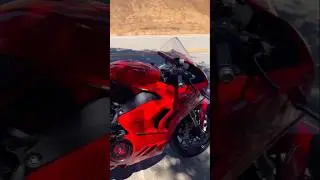 DUCATI DUKE BIKE RED EDITION 2025|Ducati Duke Red Edition  Unleash the Ultimate Power & Style #2025
