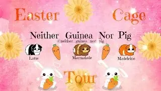 Easter Cage Tour (2017)