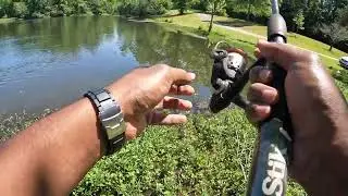 Day 2 of Bream fishing during spawn in Late Spring