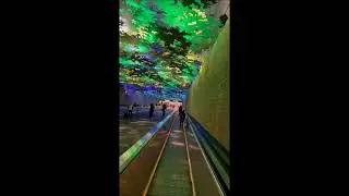 Atlanta Airport People Mover