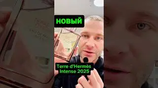 ОБЗОР Terre d&rsquo;Herm&egrave;s Intense 2025! #maxproparfum #духи #мужскойпарфюм #ароматы #shorts #short