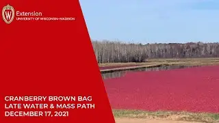 Cranberry Brown Bag Late Water & Massachusetts Plant Path 20211217