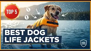 TOP 5 Best Dog Life Jackets 2026 | A Must-Have Safety Device for Water Adventures