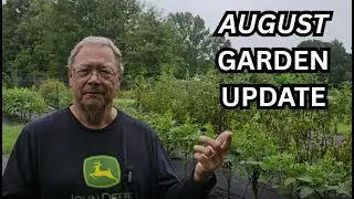 Looking at the  AUGUST GARDEN and what we still have growing