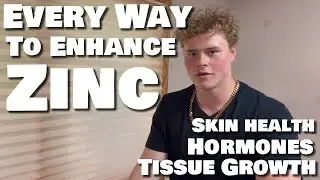 Every Way to Enhance Zinc Absorption