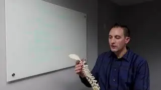 Lakes Chiropractic  - C1 Atlas Vertebrae Care - Brainerd, MN