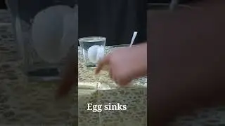 Egg and Water experiment/Water density simple experiment/#waterexperiment/#easyscienceexperiment